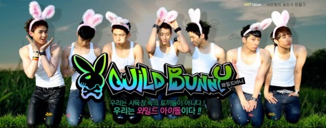 2pm-wild-bunny